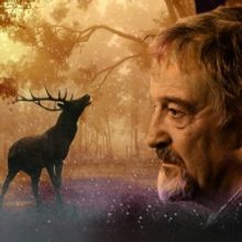 #FinboroughForFree Will Stream DEATH OF A HUNTER