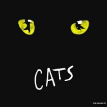BWW Review: CATS at Rochester Broadway Theatre League