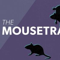 BWW Review: THE MOUSE TRAP at Lyric Arts Theatre