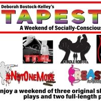 Deborah Bostock-Kelley to Debut TAPESTRY - A WEEKEND OF SOCIALLY-CONSCIOUS…