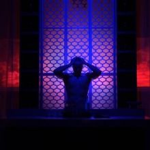 CAT ON A HOT TIN ROOF Enters Final Two Weeks of Performances at the Theatre at St. Cl