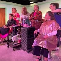 Review: STEEL MAGNOLIAS at Carousel Theatre Of Indianola