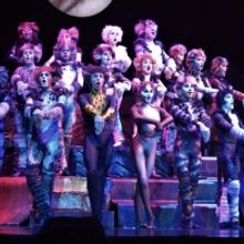Watch Excerpt: 'Jellicle Songs for Jellicle Cats' from CATS