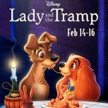 El Capitan Theatre Announces Special Screening of LADY AND THE TRAMP for Valentine's