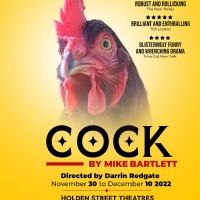 Boyslikeme Productions Brings COCK By Mike Bartlett to Adelaide in November