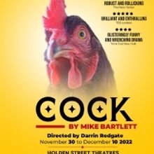 Boyslikeme Productions Brings COCK By Mike Bartlett to Adelaide in November