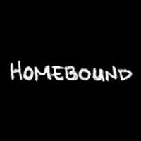 BWW Video: Episode Three of Round House Theatre's Webseries Homebound