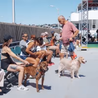 CIRCLE LINE Announces “Howling Halloween Pup Cruise”