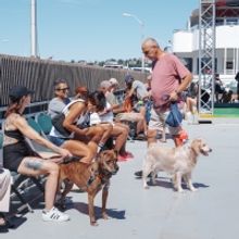 CIRCLE LINE Announces &ldquo;Howling Halloween Pup Cruise&rdquo;