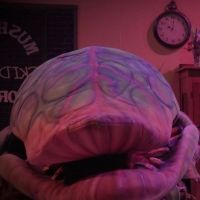BWW Review: Parker's LITTLE SHOP is Full of Big Moments
