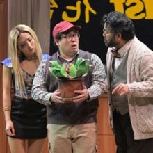 Review: LITTLE SHOP OF HORRORS at TheatreWorks Silicon Valley Takes a New Look at the