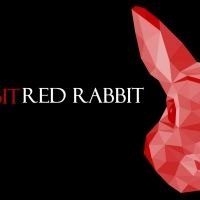 BWW Review: WHITE RABBIT RED RABBIT at Open Stage