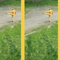 Daniel Gwirtzman Dance Company Presents DANDELION, The First In A Series Of Monthly…