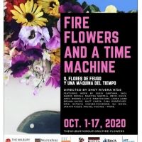 The Wilbury Group + WaterFire Providence Announce FIRE FLOWERS AND A TIME MACHINE