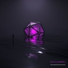 Shallowsky Release New Single 'Musclesareuselessagainstghosts'