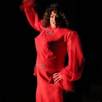 BWW Preview: CHRISTMAS WITH THE CRAWFORDS Returns to the Desert Rose Playhouse