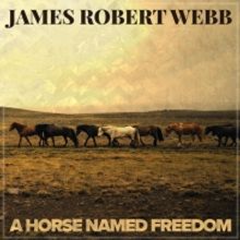 James Robert Webb Runs Free With 'A Horse Named Freedom'