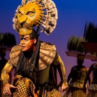 BWW Review: THE LION KING at State Theatre, Cleveland