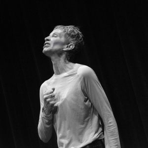 New Musical THE HUMMINGBIRD To Benefit Center For Domestic Peace In Marin County
