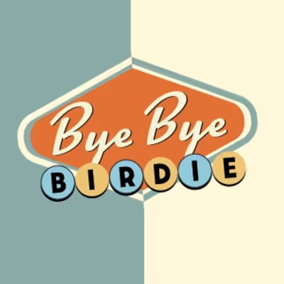 Review: BYE BYE BIRDIE at TexARTS