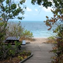 READY TO DRINK COCKTAILS-Our Top 10 This Season