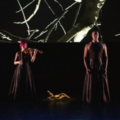 Review: How the Wisdom of Elders Influenced Musicians Davone Tines and Jennifer Koh in EVERYTHING RISES at BAM