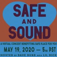Safe Place For Youth Announces Virtual Benefit Concert Feat. Grouplove, Young the…