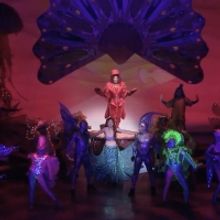 VIDEO: Get A First Look At TUTS' THE LITTLE MERMAID