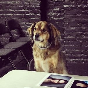 FUREVER HOME THE MUSICAL to Present Bring Your Dog To The Theatre Day 