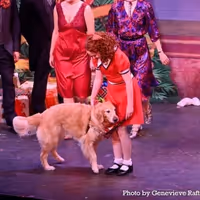 Review: ANNIE at The Argyle Theatre Photo