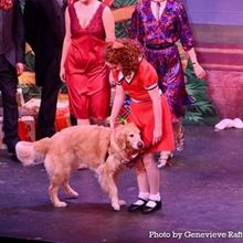 Review: ANNIE at The Argyle Theatre