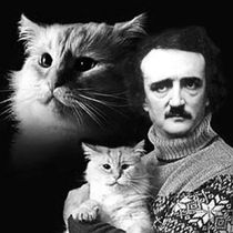 EDGAR ALLAN POE IS DEAD AND SO IS MY CAT is Coming to BuntPort Theater