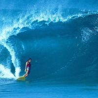 San Luis Obispo International Film Festival Announces Honorees and More