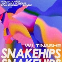 Tom Everett Remixes Snakehips and Tinashe's New Single