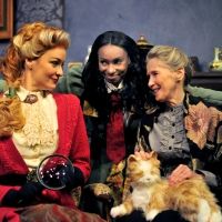 Public Theatre's THE VICTORIAN LADIES' DETECTIVE COLLECTIVE Opens This Week