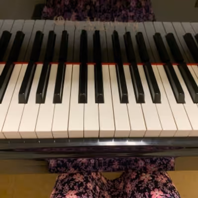Student Blog: My Experience as a Transfer Student in Musical Theatre