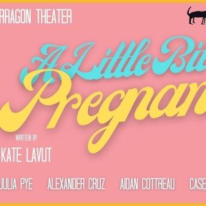Paper Dog Press to Present A LITTLE BIT PREGNANT as Part of Toronto Fringe Festival…