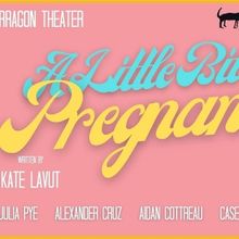 Paper Dog Press to Present A LITTLE BIT PREGNANT as Part of Toronto Fringe Festival 2