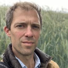 Donald Rice to Direct JESUS CHRIST SUPERSTAR at The REV