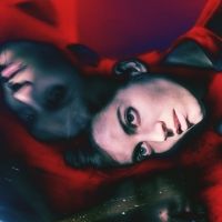 Salami Rose Joe Louis Announces Remix LP 'Chapters of Zdenka'