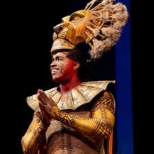 THE LION KING Extends Cancelations Through December 29th Matinee