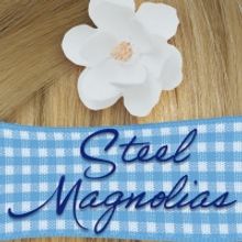 Emmy Award Winner Benita Zahn to Lead Fort Salem Theater's STEEL MAGNOLIAS