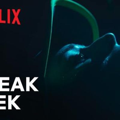 UNTOLD RAYGUN: Breaking Badly to Premiere on Netflix