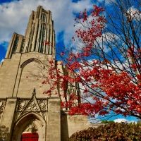 Student Blog: Back in the 'Burgh