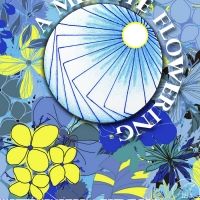 Water House Collective Presents The Second Annual A MINUTE FLOWERING Festival