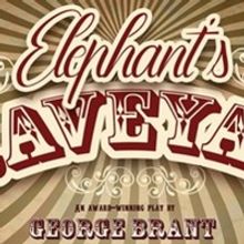 ELEPHANT'S GRAVEYARD Will Livestream This Month