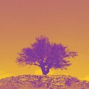 THE MULBERRY TREE to be Presented at La MaMa This Fall