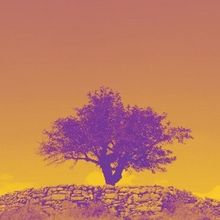 THE MULBERRY TREE to be Presented at La MaMa This Fall