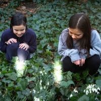 Theatre Artist Come Together to Creative Immersive Theatrical Experience TITANIA'S…