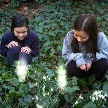 Theatre Artist Come Together to Creative Immersive Theatrical Experience TITANIA'S DR